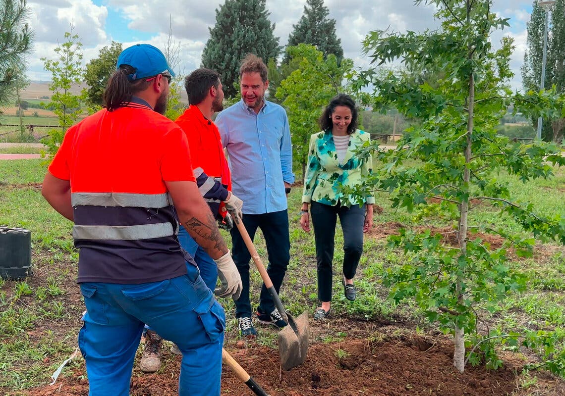 Torrejón de Ardoz planta 520 nuevos árboles en el parque Miradores de Soto del Henares