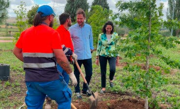 Torrejón de Ardoz planta 520 nuevos árboles en el parque Miradores de Soto del Henares