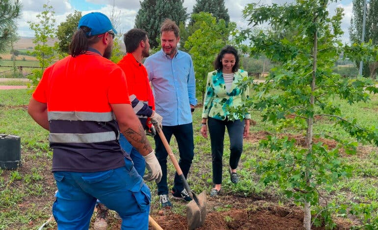 Torrejón de Ardoz planta 520 nuevos árboles en el parque Miradores de Soto del Henares