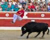 Estos son los precios de las entradas y abonos para los toros en Torrejón de Ardoz