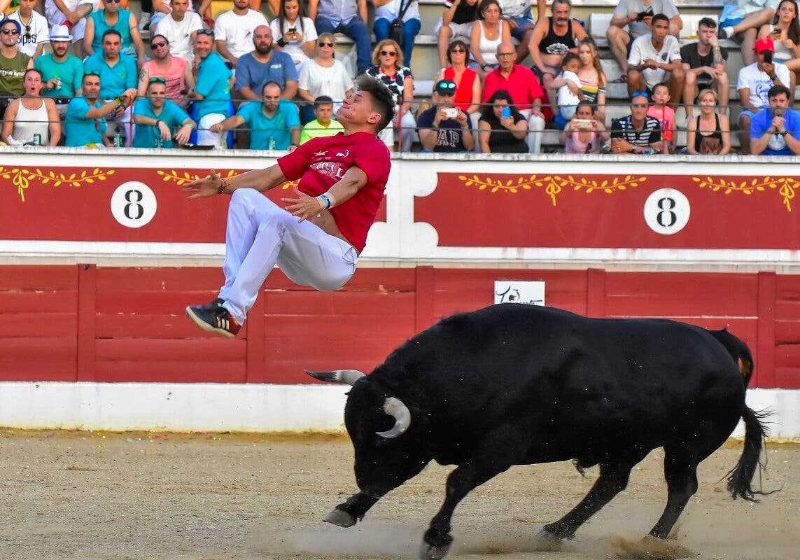 Estos son los precios de las entradas y abonos para los toros en Torrejón de Ardoz