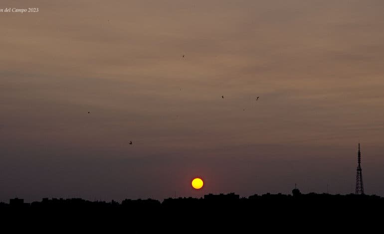 El humo de los incendios de Canadá llega a Madrid y deja un sol anaranjado al amanecer