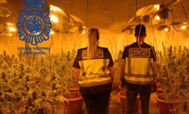 Desmantelada una plantación de marihuana en Cabanillas del Campo con tres detenidos 