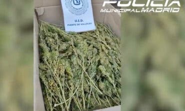 Hallan dos cajas con 50 kilos de marihuana abandonadas en una calle de Vallecas