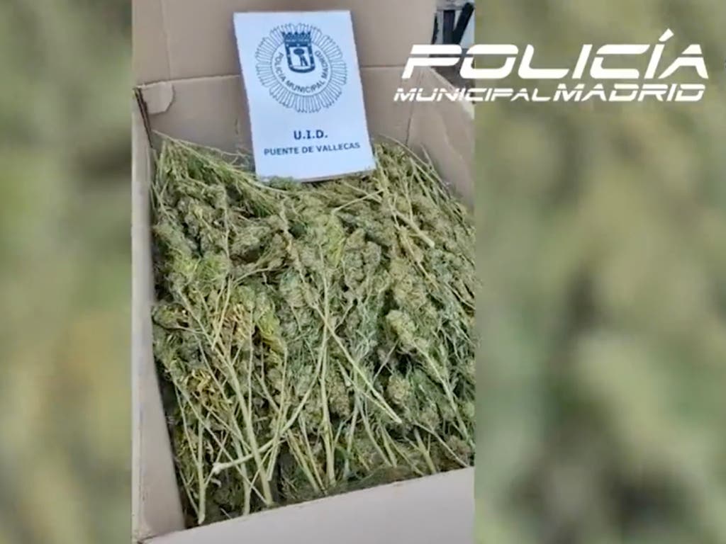Hallan dos cajas con 50 kilos de marihuana abandonadas en una calle de Vallecas