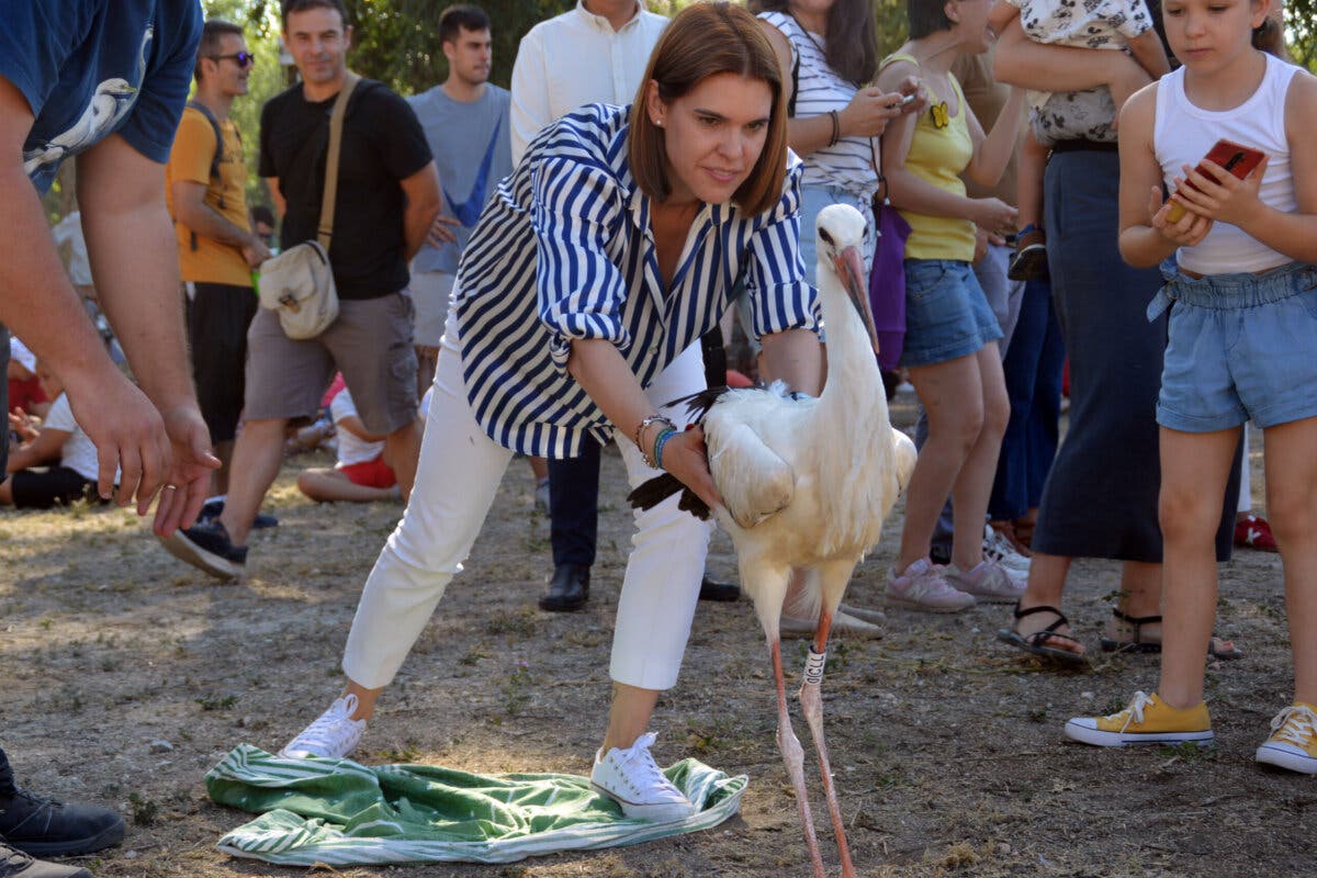 Tradicional suelta de cigüeñas en Alcalá de Henares