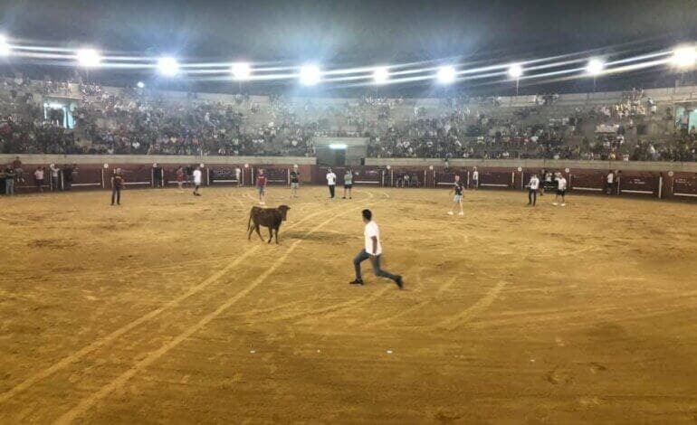 Torres de la Alameda celebra sus Fiestas del Agua con atracciones, conciertos y capea 