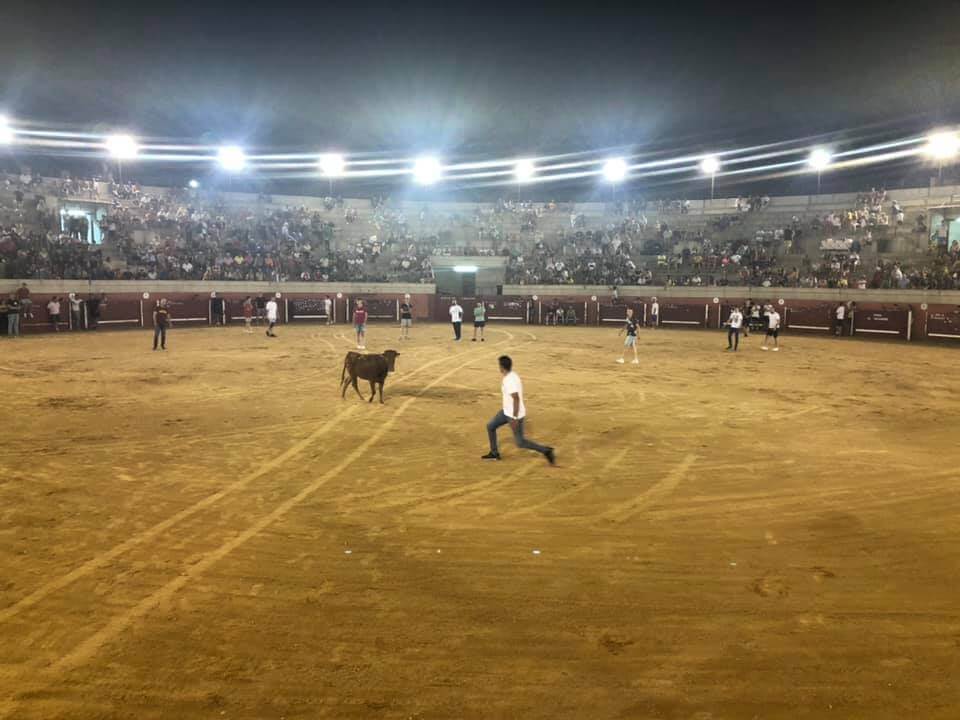 Torres de la Alameda celebra sus Fiestas del Agua con atracciones, conciertos y capea 