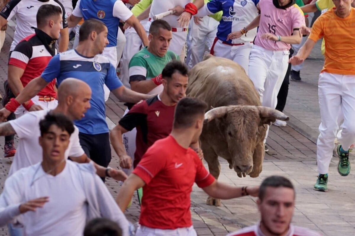 Espectaculares carreras y momentos de peligro en el cuarto encierro de las Fiestas de Sanse