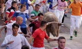 Espectaculares carreras y momentos de peligro en el cuarto encierro de las Fiestas de Sanse