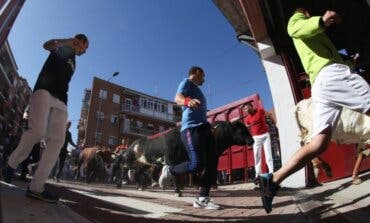 Primer encierro de Sanse: 5.000 espectadores, 1.200 participantes y un herido por varetazo