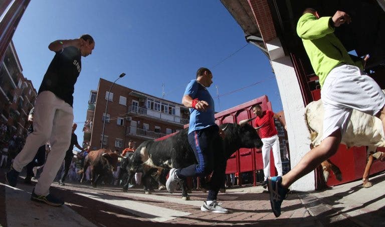Primer encierro de Sanse: 5.000 espectadores, 1.200 participantes y un herido por varetazo