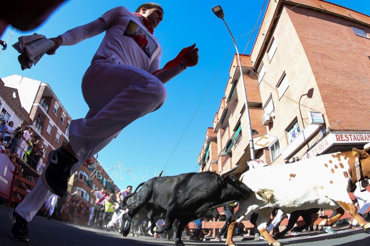 Grandes carreras en el quinto encierro de las Fiestas de Sanse con dos heridos leves 