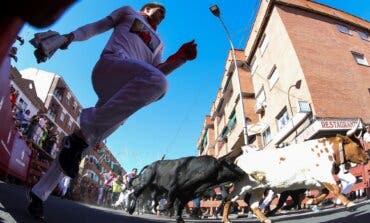 Grandes carreras en el quinto encierro de las Fiestas de Sanse con dos heridos leves 