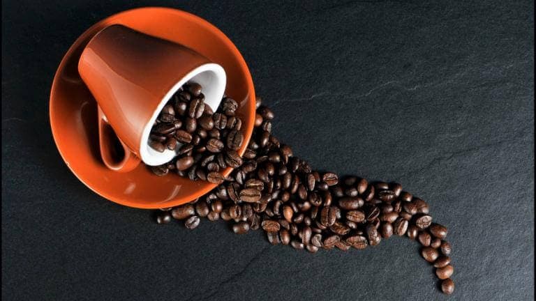La Comunidad de Madrid investiga una molécula presente en el café que mejora la calidad de vida en el envejecimiento