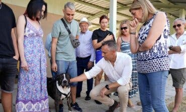 Madrid: Se reduce el número de animales abandonados y 7.566 fueron devueltos a sus dueños gracias al microchip