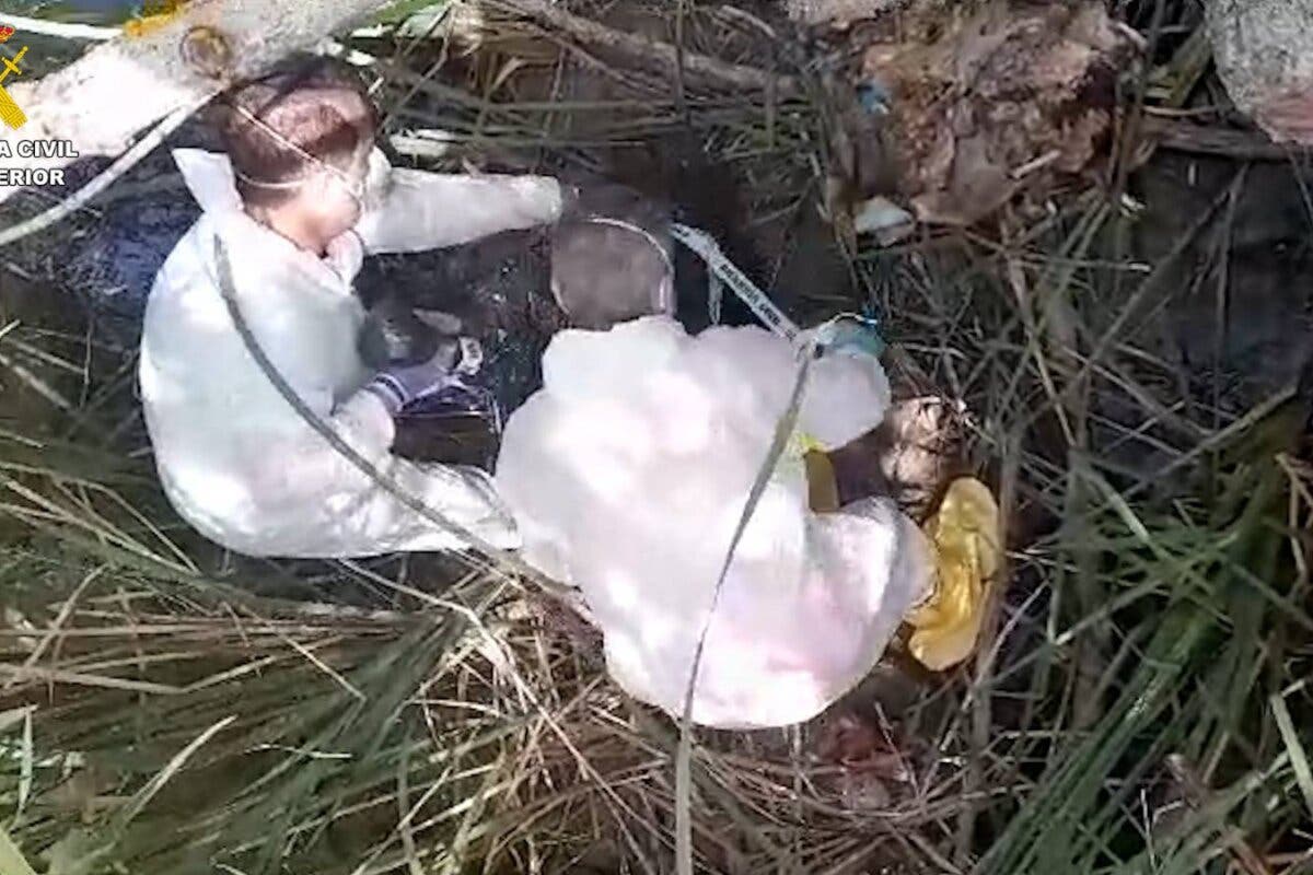 Investigan a un hombre por arrojar los cadáveres de dos perros en una poza en Valdetorres de Jarama 