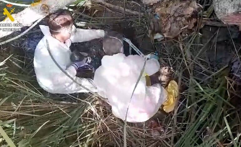 Investigan a un hombre por arrojar los cadáveres de dos perros en una poza en Valdetorres de Jarama 