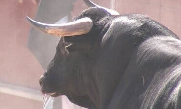 Alcalá de Henares presenta sus Ferias 2023: vuelven los toros y encierros, conciertos y novedades 