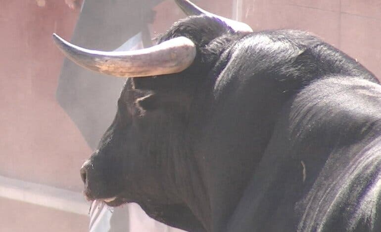 Alcalá de Henares presenta sus Ferias 2023: vuelven los toros y encierros, conciertos y novedades 
