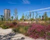Torrejón de Ardoz suma 127 nuevos parques tras crear tres nuevas zonas verdes