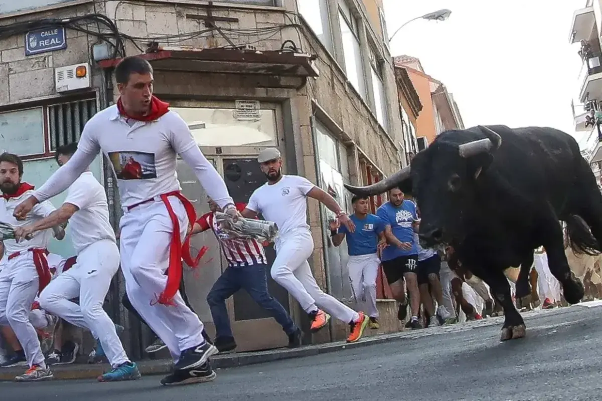 Sexto encierro de las Fiestas de Sanse, rápido y con cinco asistencias por caídas