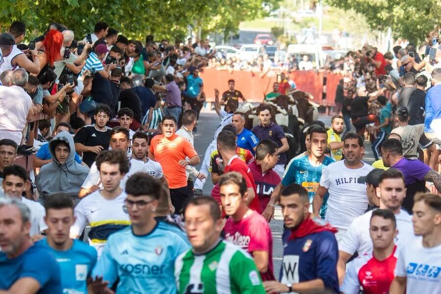 Así ha sido el regreso de los encierros a Alcalá de Henares