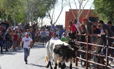 Velilla de San Antonio celebrará sus Fiestas Patronales del 22 al 26 de septiembre