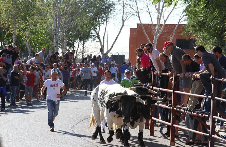 Velilla de San Antonio celebrará sus Fiestas Patronales del 22 al 26 de septiembre