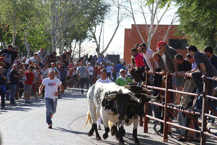 Velilla de San Antonio celebrará sus Fiestas Patronales del 22 al 26 de septiembre