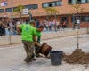 Torrejón crea nuevas zonas de sombra en los colegios con la plantación de árboles