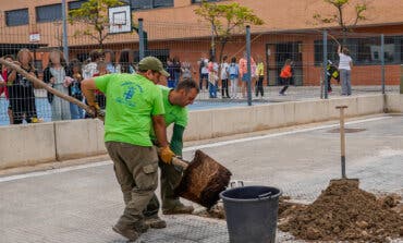 Torrejón crea nuevas zonas de sombra en los colegios con la plantación de árboles