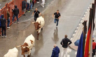 Un herido grave y cinco leves en los encierros de Arganda del Rey