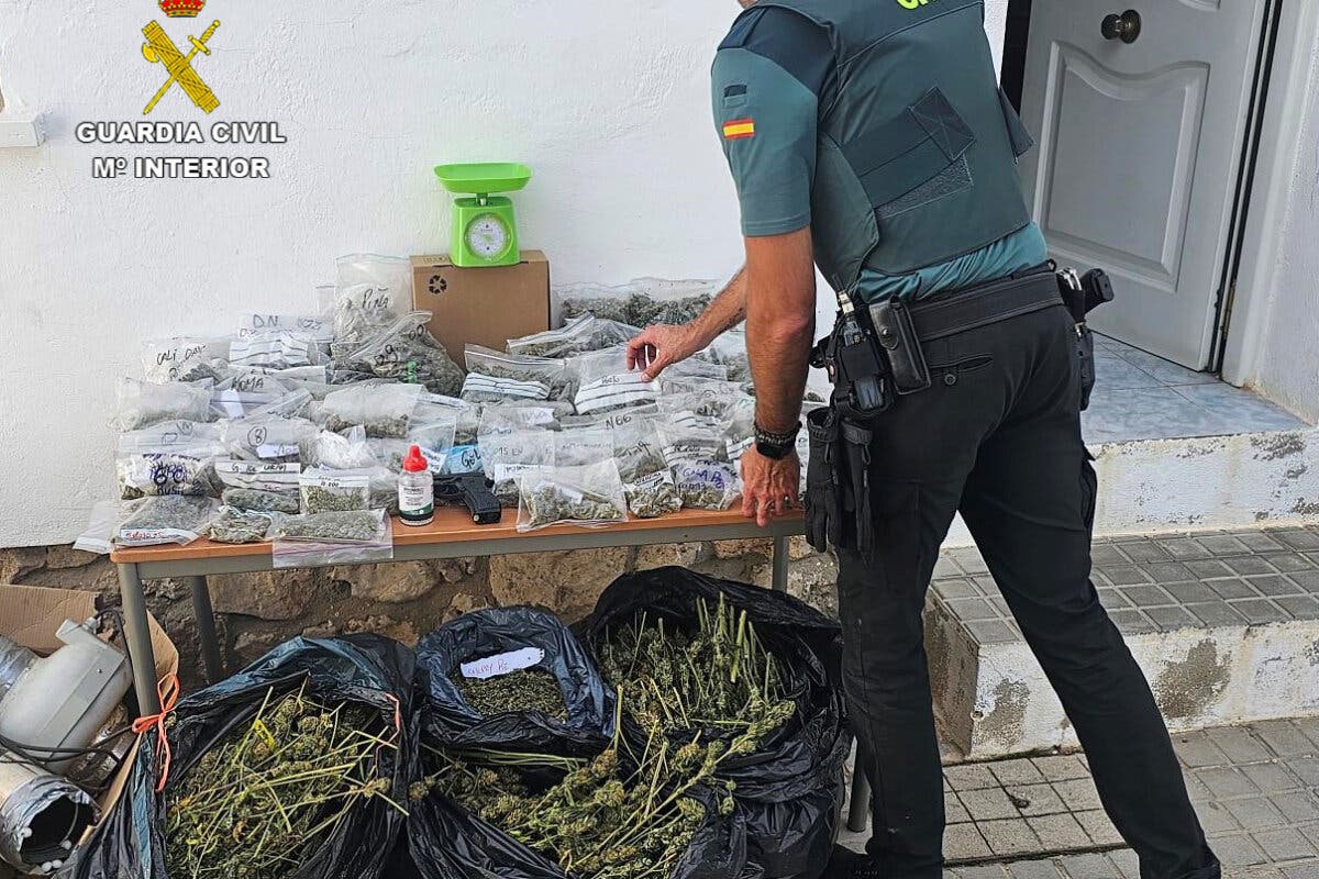 Guadalajara: Encuentran en una vivienda de Sacedón 60 bolsas llenas de cogollos de marihuana