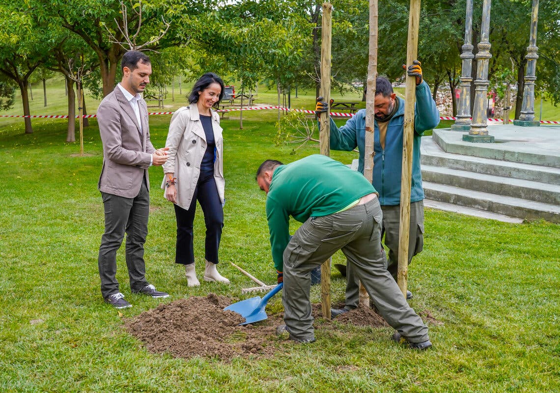 Torrejón planta nuevos árboles con el objetivo de llegar a 10.000 esta legislatura 