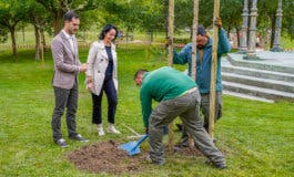 Torrejón planta nuevos árboles con el objetivo de llegar a 10.000 esta legislatura 