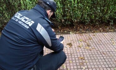 Alcalá de Henares comienza a tomar muestras de heces de perros abandonadas para multar a los dueños