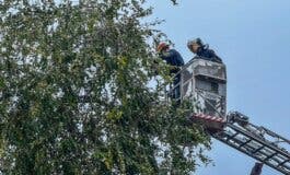 El 112 de la Comunidad de Madrid gestiona 228 incidencias por la lluvia y el viento