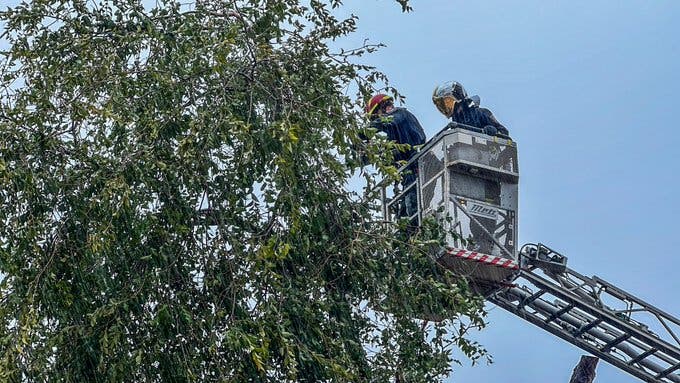 El 112 de la Comunidad de Madrid gestiona 228 incidencias por la lluvia y el viento