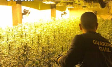 Cuatro albaneses detenidos por cultivar marihuana en varias localidades de Guadalajara