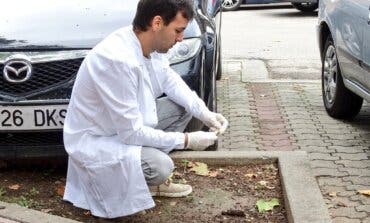El CSI contra las cacas de perro en Alcalá de Henares con multas de hasta 3.000 euros
