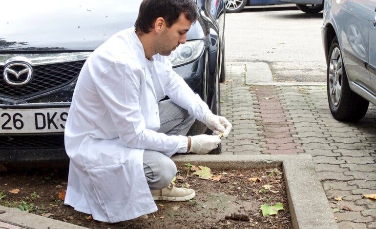 El CSI contra las cacas de perro en Alcalá de Henares con multas de hasta 3.000 euros