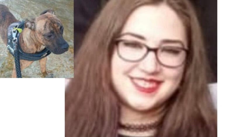 Buscan a una joven desaparecida en Madrid con su perra: había denunciado a su expareja por malos tratos