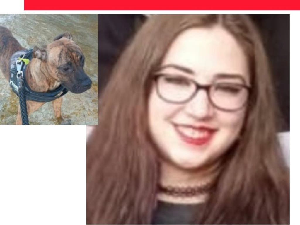 Buscan a una joven desaparecida en Madrid con su perra: había denunciado a su expareja por malos tratos