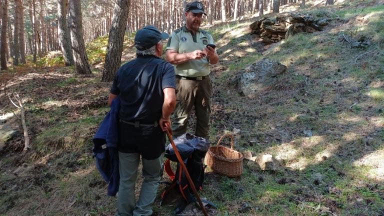 La Comunidad de Madrid recuerda la obligación de cumplir la normativa ambiental en la recogida de setas