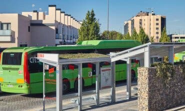 La Comunidad instala en Torrejón de Ardoz la primera cubierta vegetal en una marquesina de autobuses