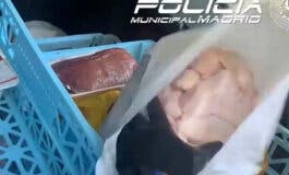 Intervienen 70 kilos de carne en mal estado que una carnicería pretendía vender a un restaurante de Carabanchel