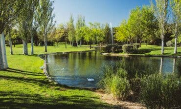 Actos en los cementerios de Alcalá de Henares con motivo del Día de Todos los Santos 