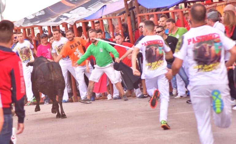 Mejorada del Campo celebra las Fiestas del Pilar con música, encierros y un concurso de recortes 