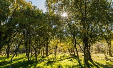 La Comunidad de Madrid amplía el Parque Nacional de la Sierra de Guadarrama comprando 453 hectáreas 